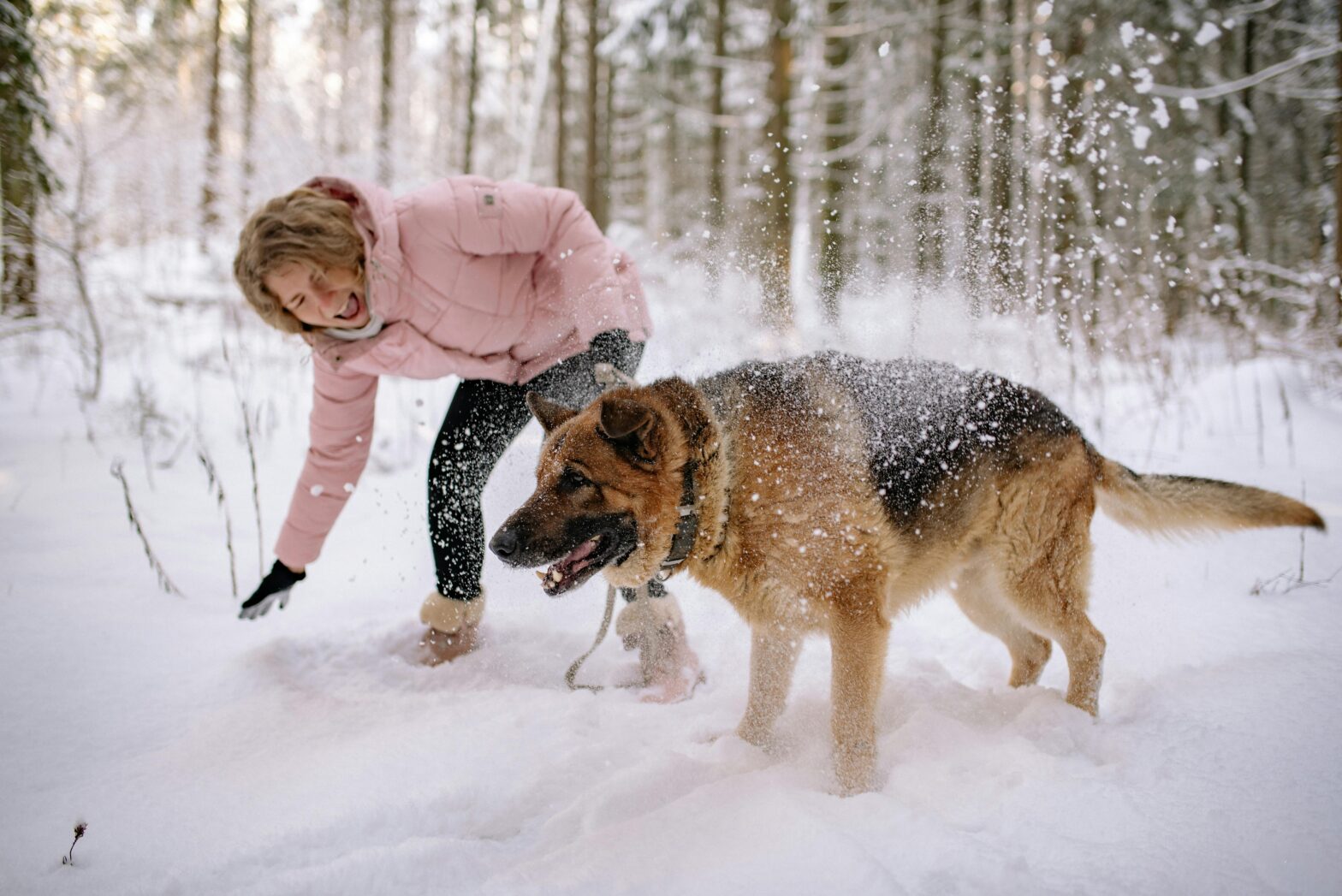 What Are Cold Weather Emergencies For Pets